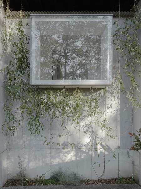 Window, Window, Window